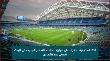 200 ألف جنيه.. تعرف على عوائد شهادة الادخار الجديدة في البنك الأهلي بعد التعديل